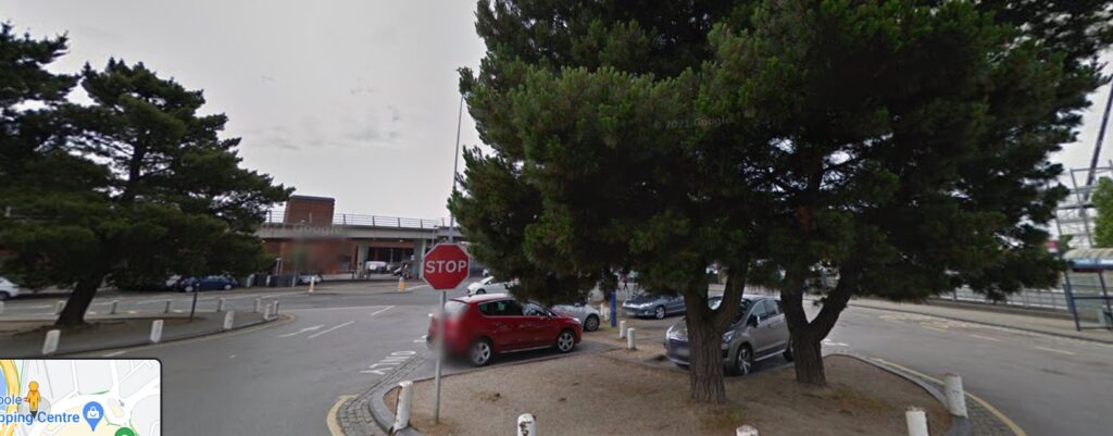 Monterey Pine Trees before the felling (Google Streetview Image)